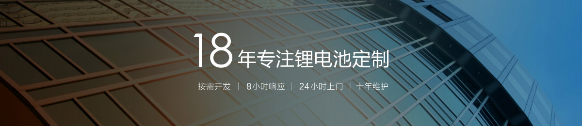 18年专注锂离子电池定制